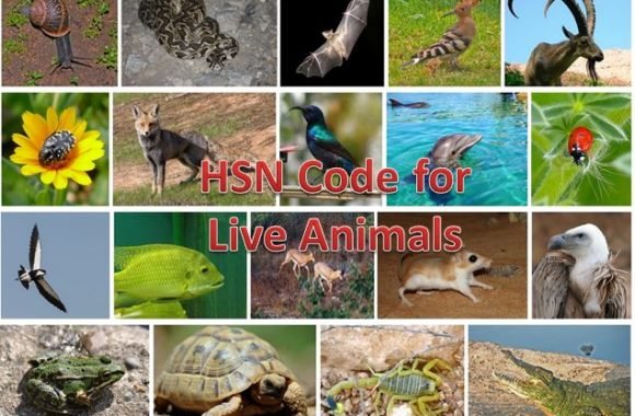 hsn code for live animals