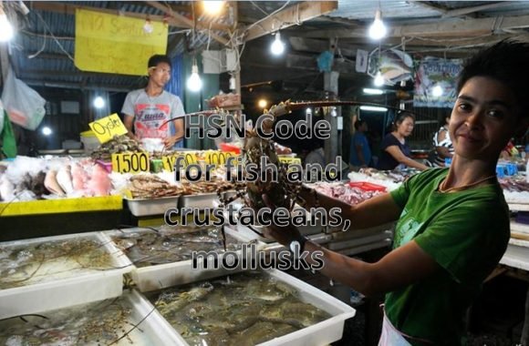 HSN code for fish