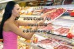 hsn code for meat and edible meat